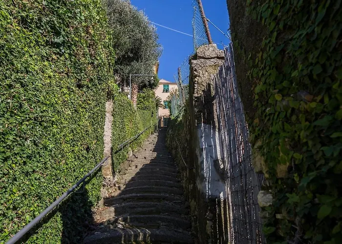 3 Windows On Golfo Paradiso - *